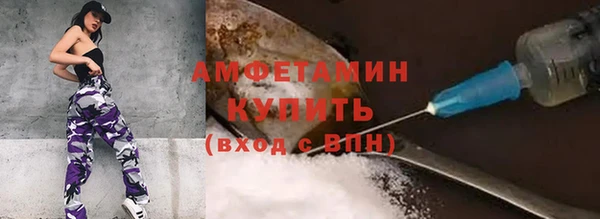 мяу мяу мука Иннополис