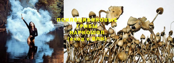 молекула духа Лиски