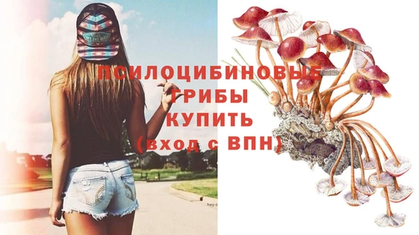 молекула духа Лиски