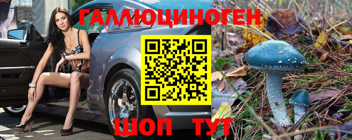 Галлюциногенные грибы MAGIC MUSHROOMS  Псилоцибиновые грибы прущие грибы  Острогожск  Вход с VPN 