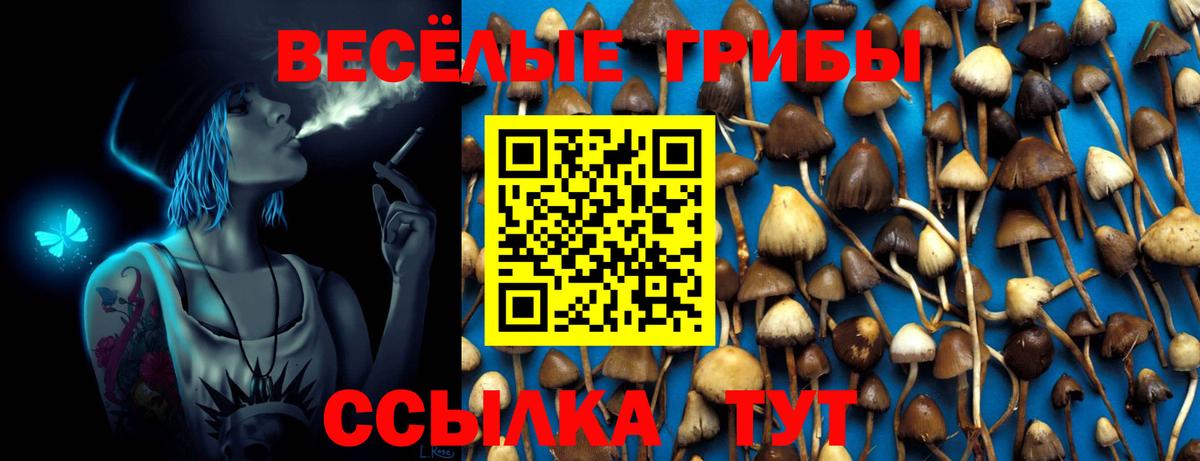 Псилоцибиновые грибы ЛСД Острогожск