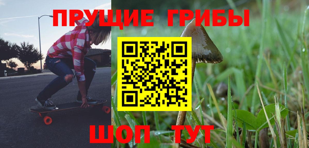 Псилоцибиновые грибы GOLDEN TEACHER  Псилоцибиновые грибы Cubensis  Вход с VPN  Острогожск 